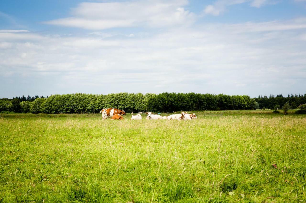 Domein Groot Besselink | Privatunterkunft